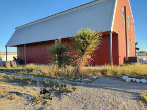 The Man Cave in Wink TX